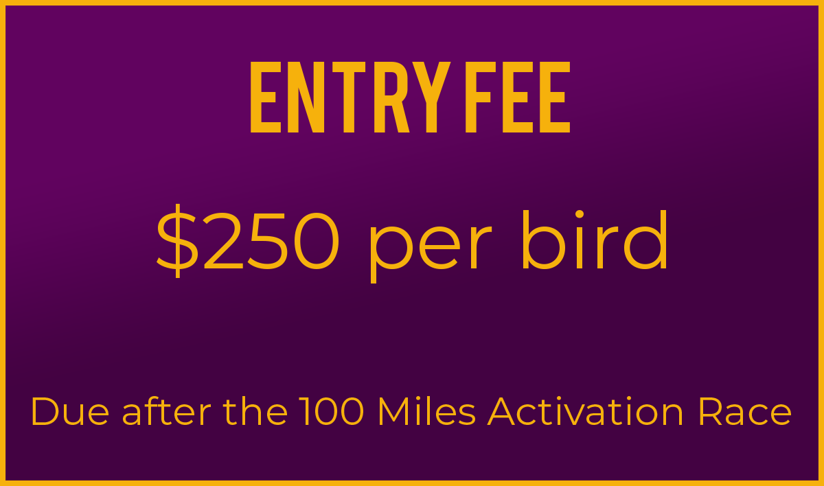 entry fee